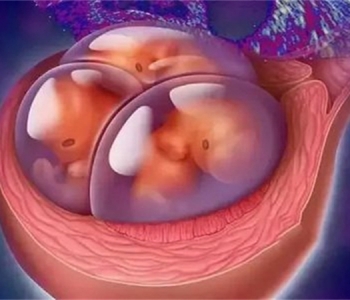 3岁上海捐卵宝宝营养不良的标准 孩子营养问题关乎千万人的心